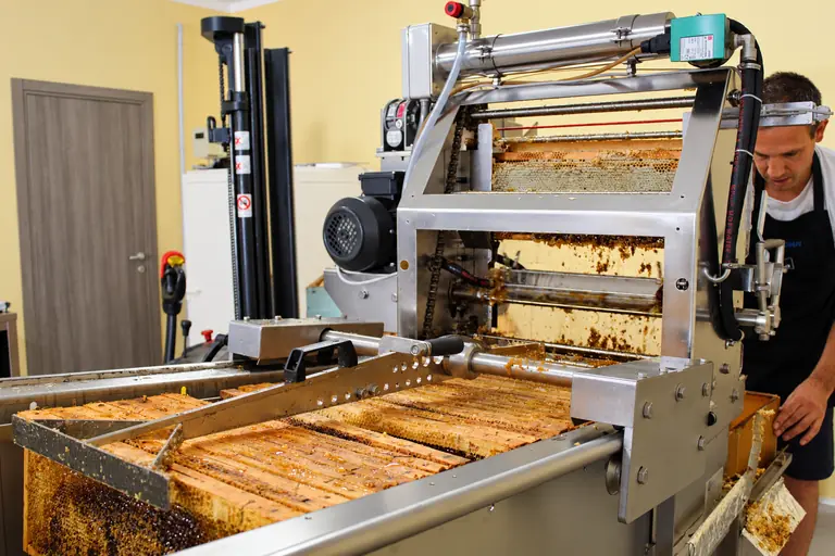 Telai alla disopercolatrice, nel laboratorio di smielatura