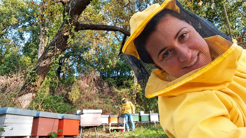 Apicoltrice con la maschera davanti alle arnie colorate