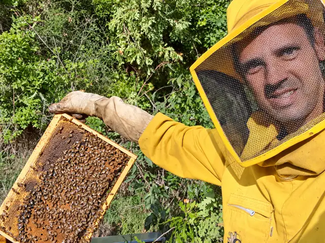 Apicoltore con la maschera e un telaio pieno di api
