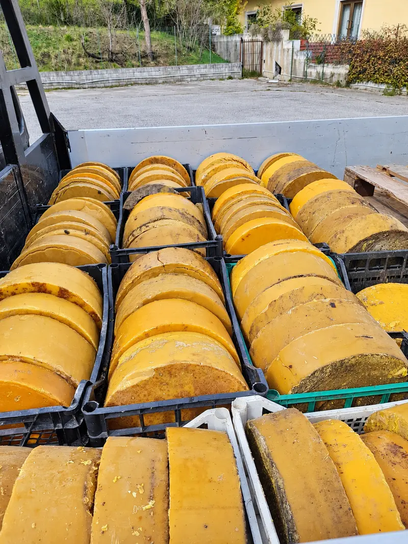 Pani di cera gialla impilati nelle cassette